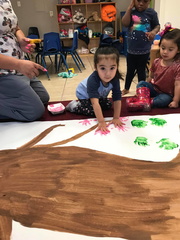 49938333 312914176089727 2788429138069815296 o